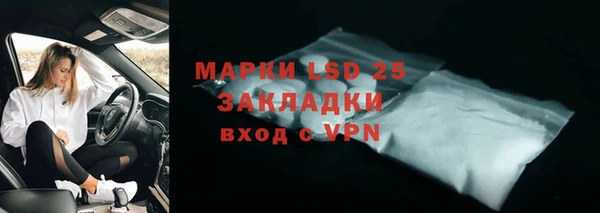 сатива Алзамай